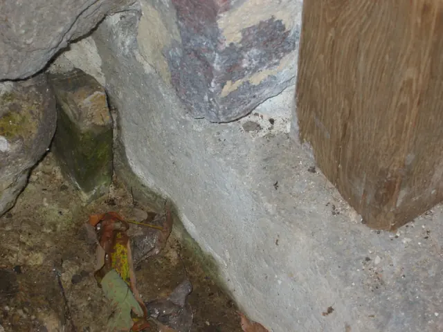 Restored south replacement jamb foot at DeTurk kitchen doorway (2009)