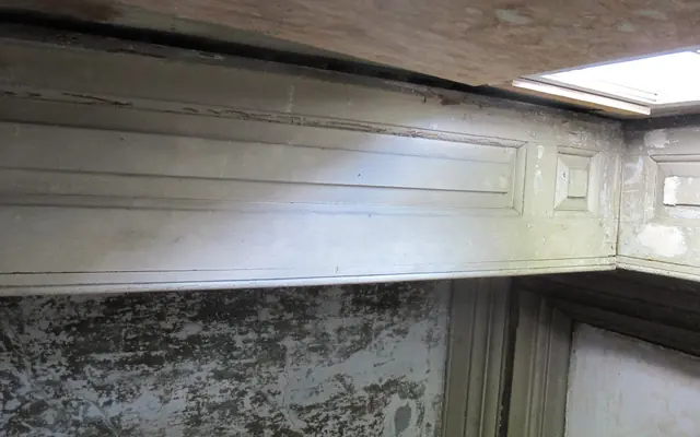 #1, 8724: Detail of Douglass House paneled doorway surround
