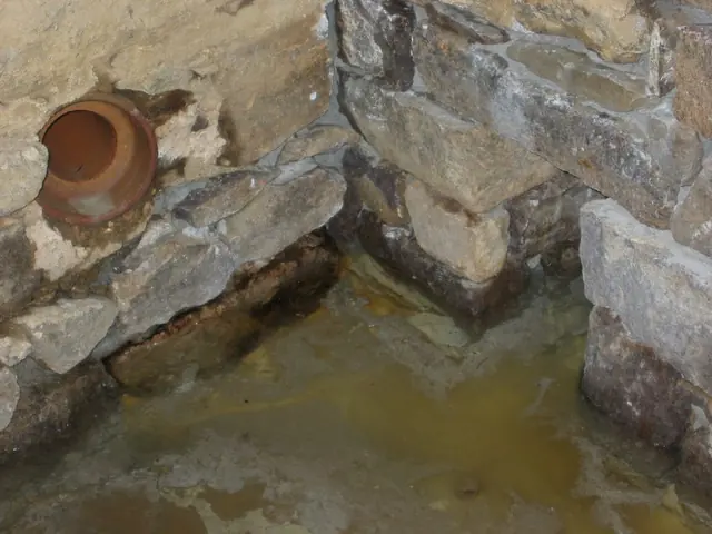 Restored DeTurk cellar drain and later terra-cotta inlet (2009)