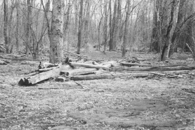 Morlatton Village, aftermath of 1972 flood
