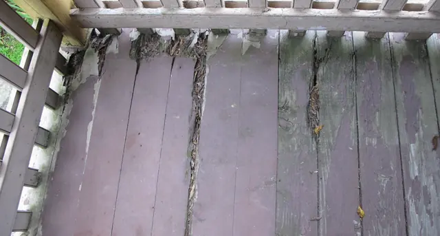 Image #1: Keim house deteriorated porch floor boards