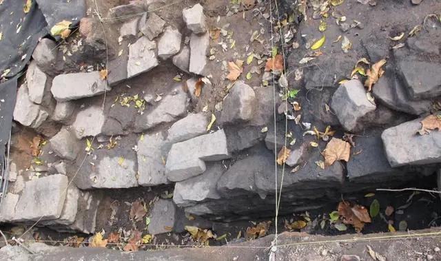 #1: Excavated foundation stones with possible opening for cellar stairs