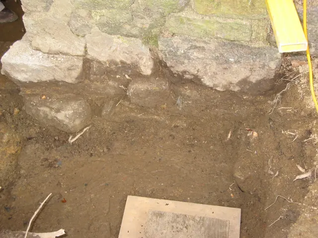 Excavated DeTurk foundation at cellar doorway
