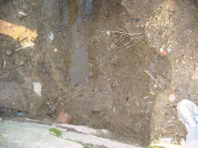DeTurk House, excavated terra-cotta drain through north wall (2009)
