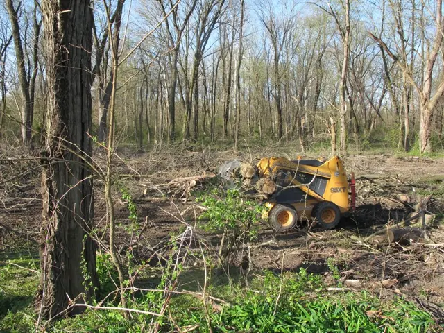 #1, 7896: Grubbing-out roots and thatch from parking area beds