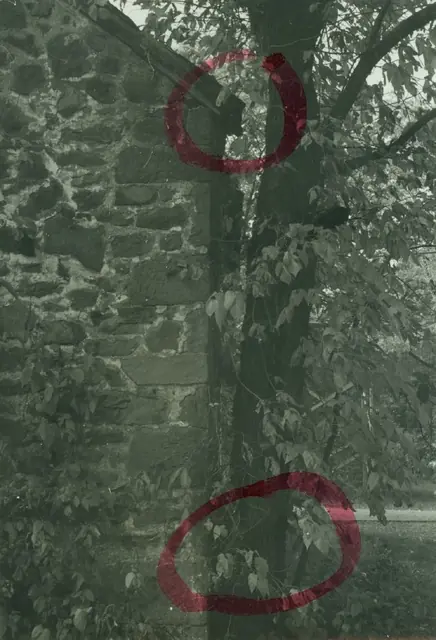 Michael Fulp House, detail of south gable wall (c.1966-67
