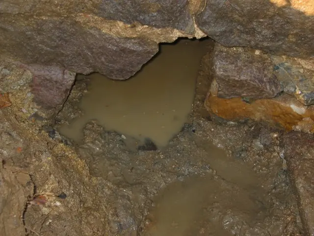 DeTurk cellar floor drain opening, exterior (2009)