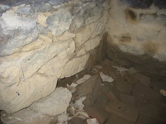 Unrestored northeast corner of DeTurk kitchen (2009)