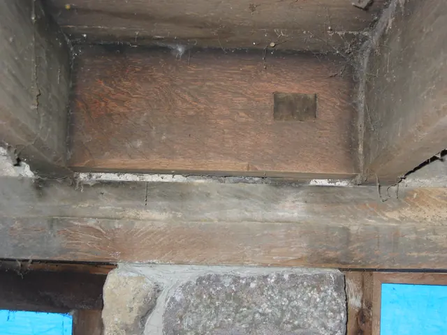 DeTurk, mortised header securing tenon of doorway hood outlooker (2009)