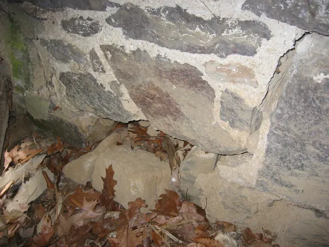 Masonry joint failure and displaced stone