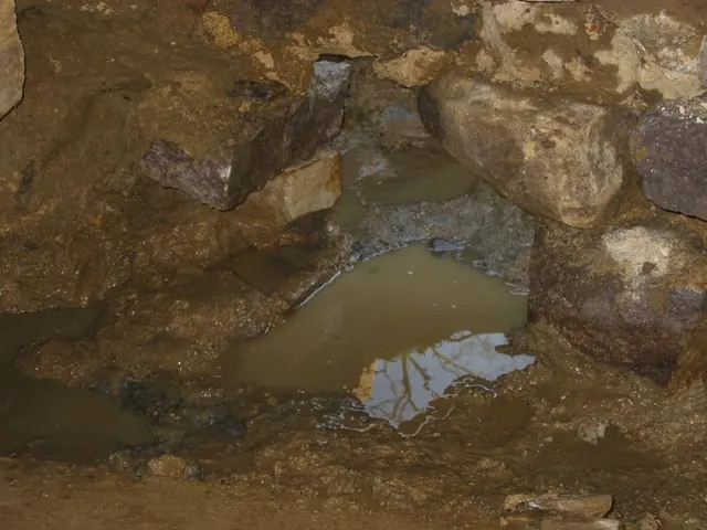 DeTurk cellar floor drain opening, interior (2009)