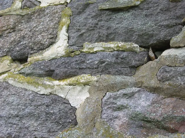 DeTurk House, pointing variations, image #1 (2009)