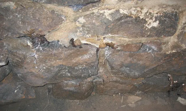Interior view of Michael Fulp House cellar foundation (2009).