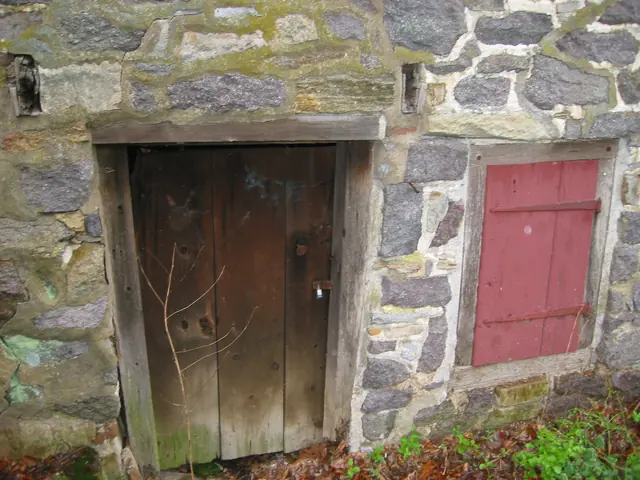 Perspective view of eastern elevation showing door & window