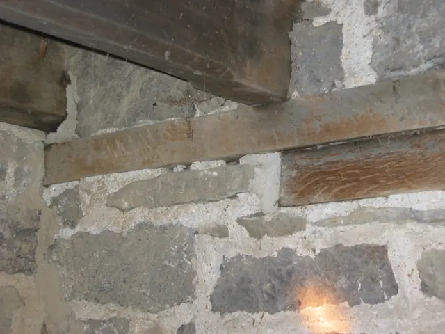 Wall plates and floor joists in DeTurk kitchen wall (2009)