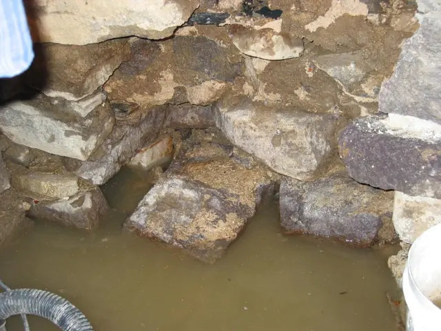 DeTurk cellar drain opening inlet site