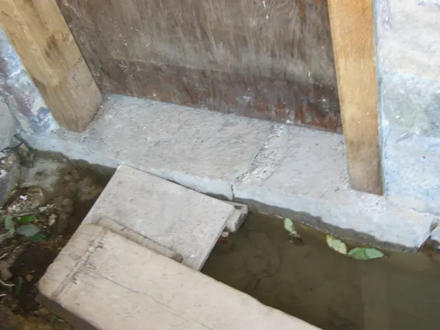 DeTurk, detail of exterior view of restored kitchen door sill & jambs (2009