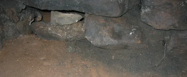 Michael Fulp House, interior view of foundation in cellar (2009)