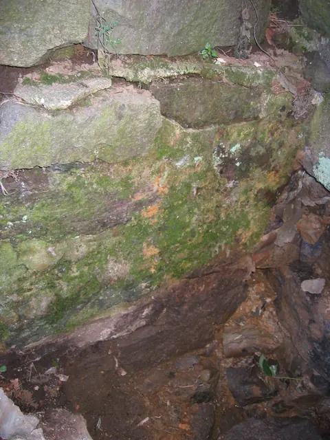 North face of  retaining wall south of DeTurk kitchen doorway (2009)