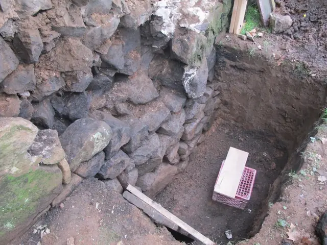 Michael Fulp House, see detailed caption #406 (2010)